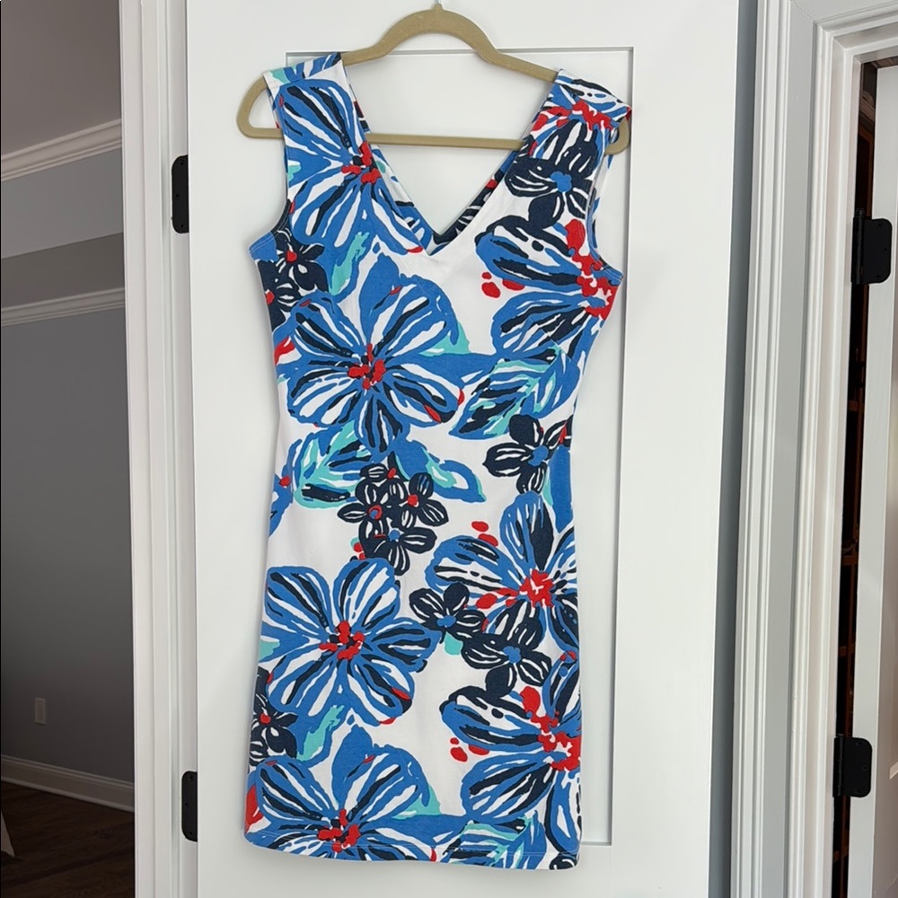 MAHI GOLD Floral Blue and Red Dress
